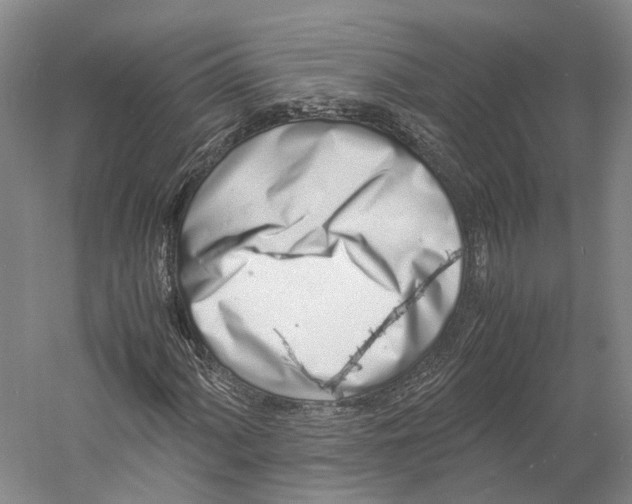 X0000060781060200512011633
