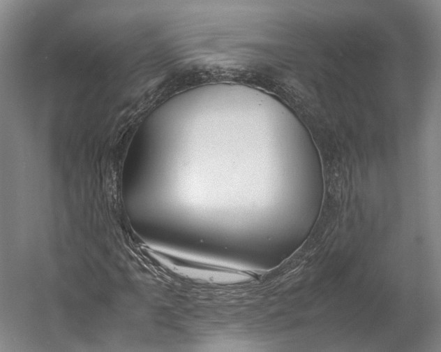 X0000060781061200512011633