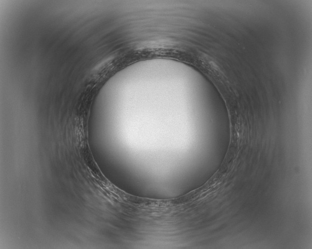 X0000060781062200512011632