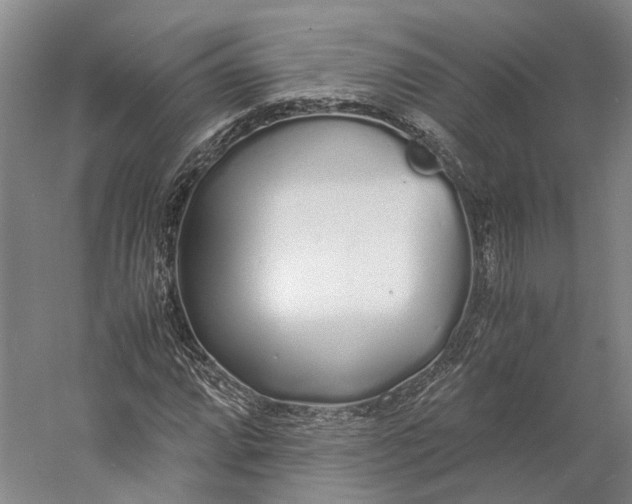 X0000060781064200512011632