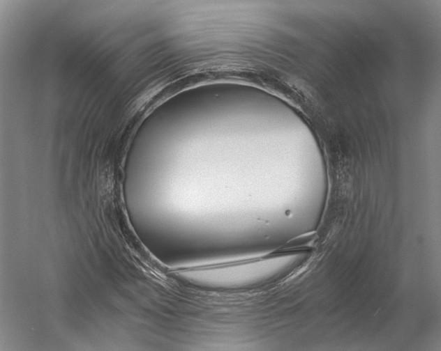 X0000060781065200512011632