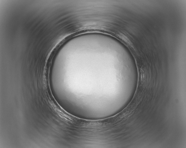 X0000060781068200512011632