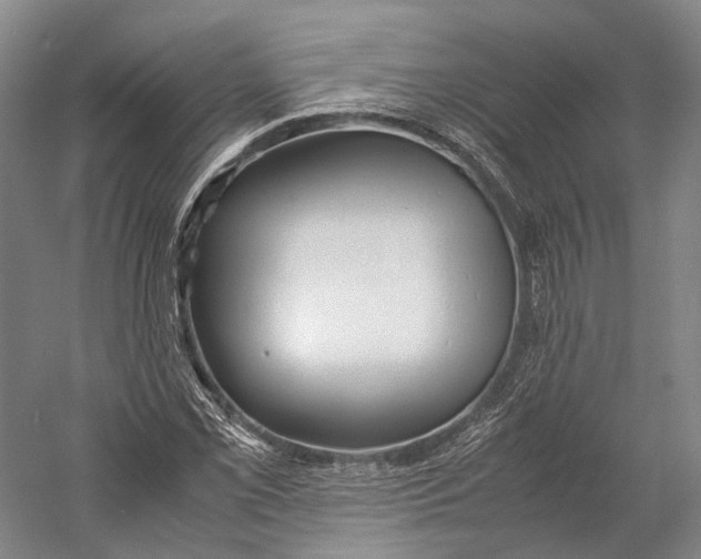 X0000060781069200512011632
