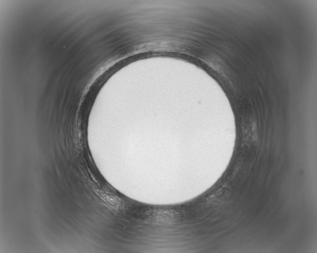 X0000060781070200512011632