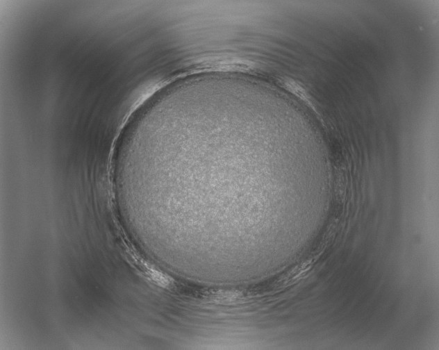 X0000060781071200512011632