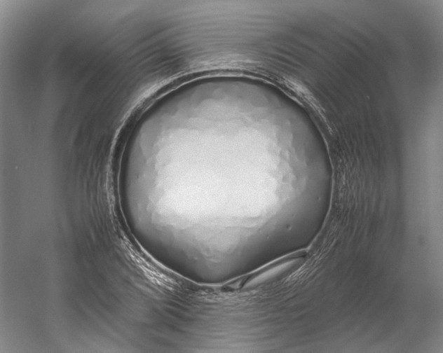 X0000060781072200512011632