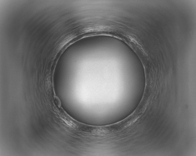X0000060781073200512011632