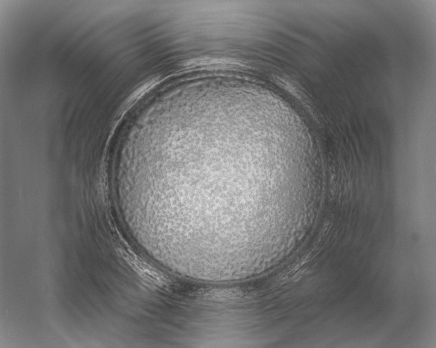 X0000060781074200512011632