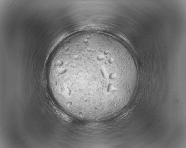 X0000060781075200512011632