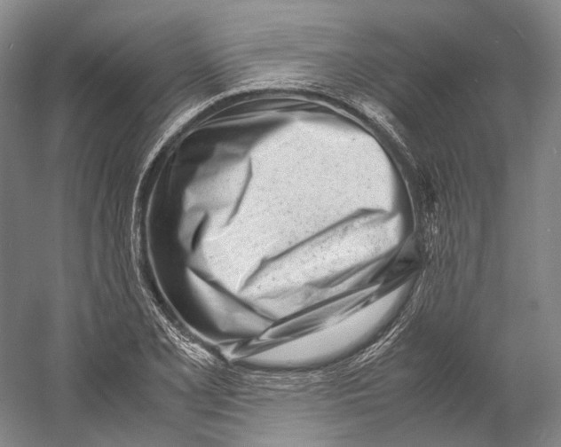 X0000060781077200512011632