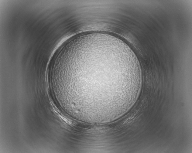 X0000060781078200512011632