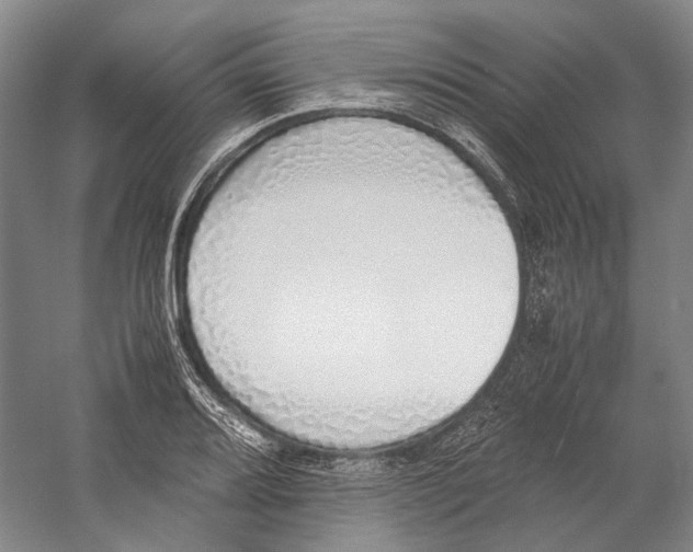 X0000060781080200512011632