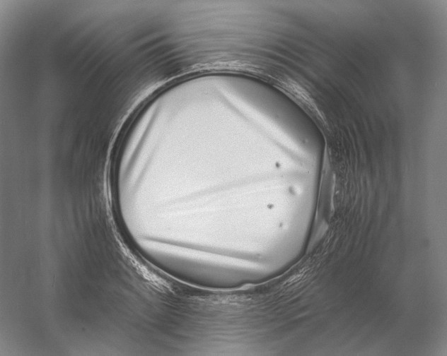 X0000060781084200512011632