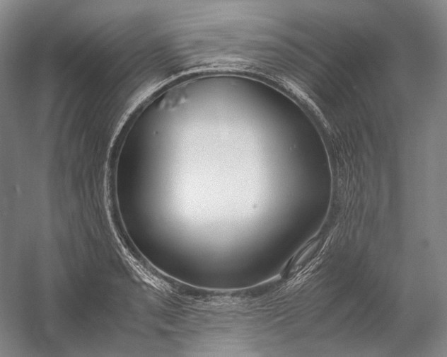 X0000060781085200512011632