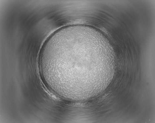 X0000060781086200512011632