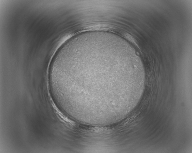 X0000060781087200512011632