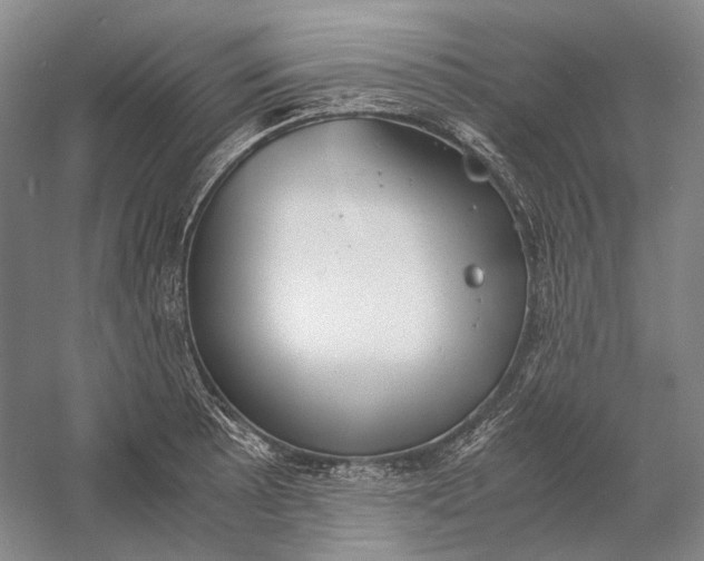 X0000060781089200512011632