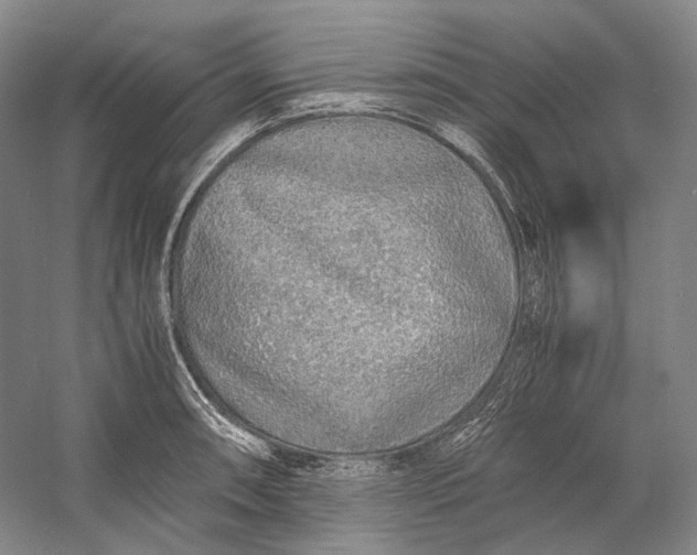 X0000060781090200512011632