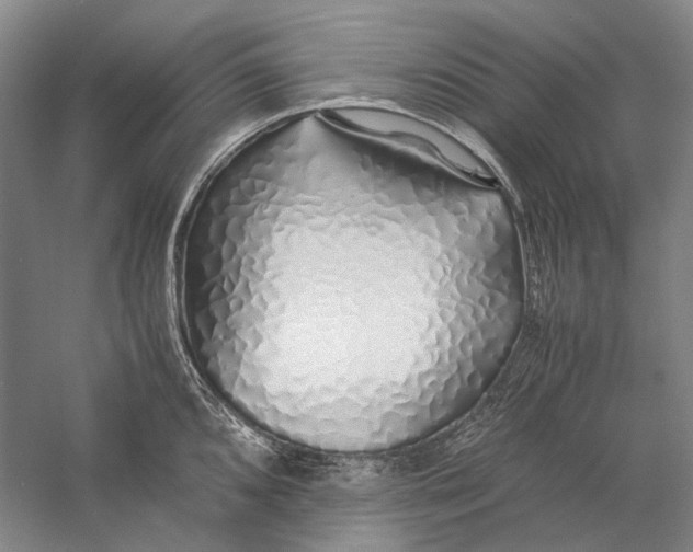 X0000060781096200512011632