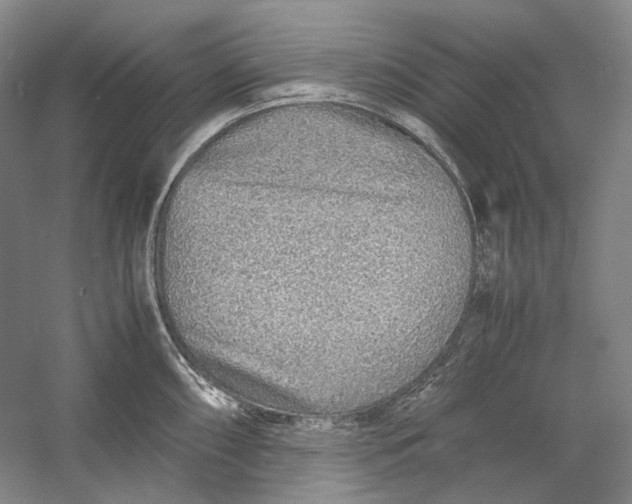 X0000060781098200512011632