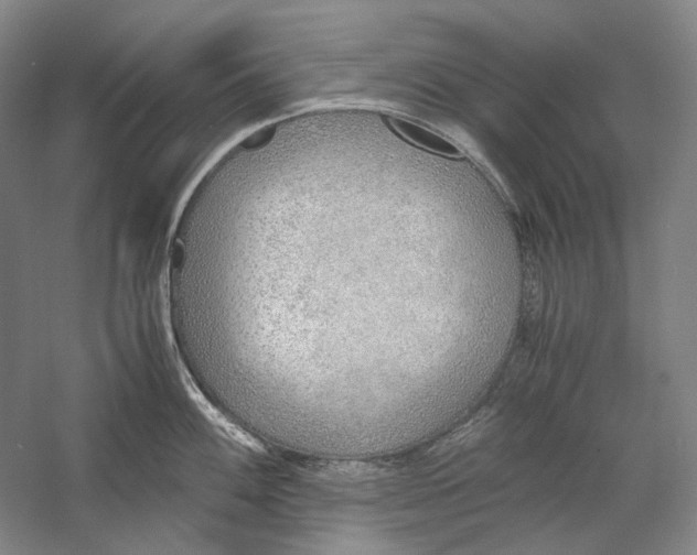 X0000060781100200512011632