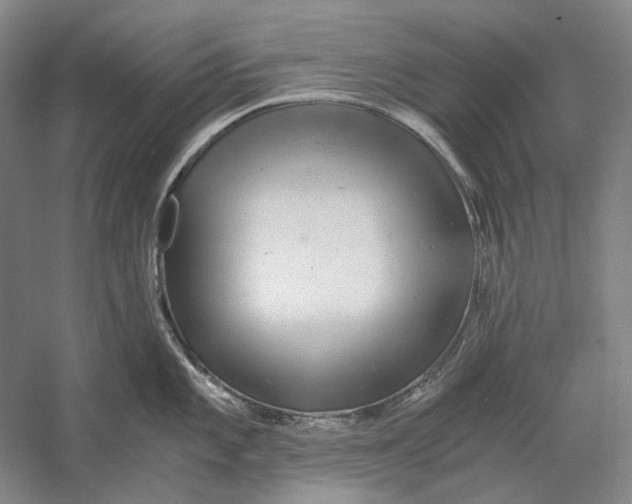 X0000060781101200512011632