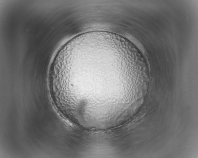 X0000060781104200512011632