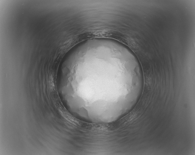 X0000060781106200512011631