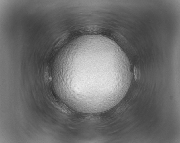 X0000060781107200512011631
