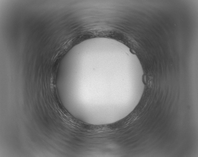 X0000060781108200512011631