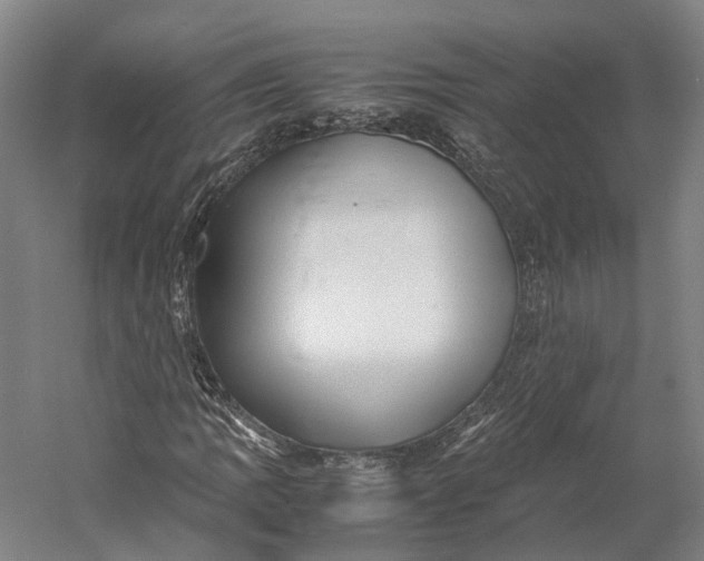 X0000060781109200512011631
