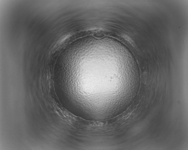 X0000060781111200512011631