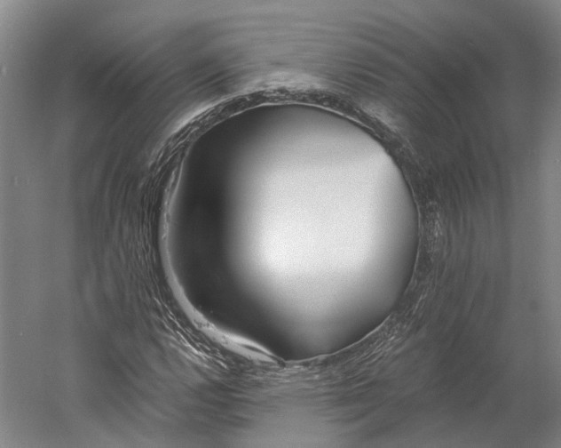 X0000060781112200512011631