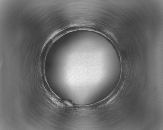 X0000060781114200512011631