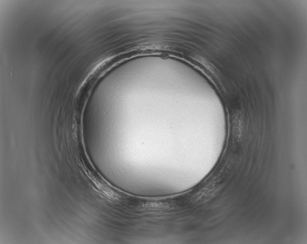 X0000060781115200512011631