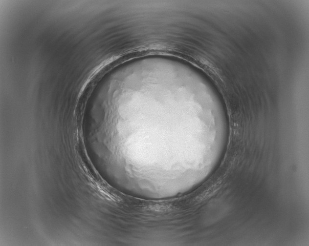 X0000060781117200512011631