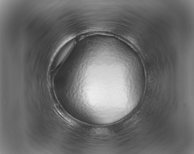 X0000060781119200512011631