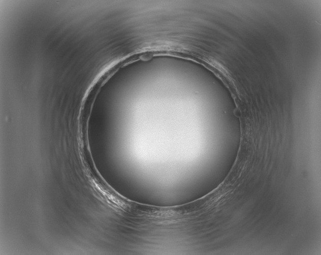 X0000060781120200512011631