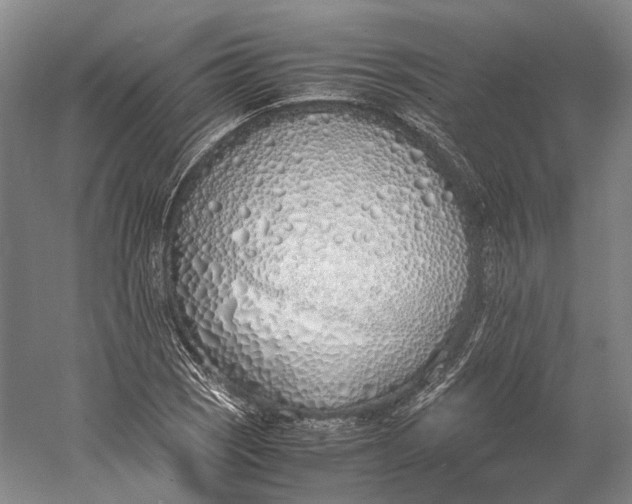 X0000060781121200512011631