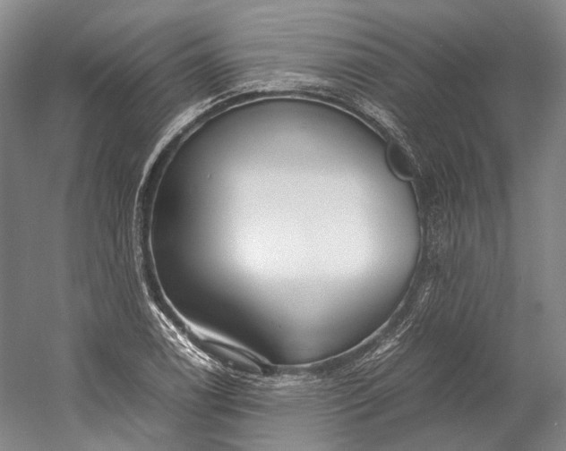 X0000060781122200512011631