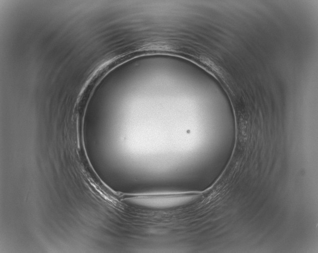 X0000060781123200512011631