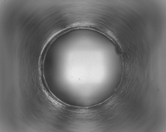 X0000060781124200512011631