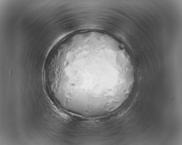 X0000060781125200512011631