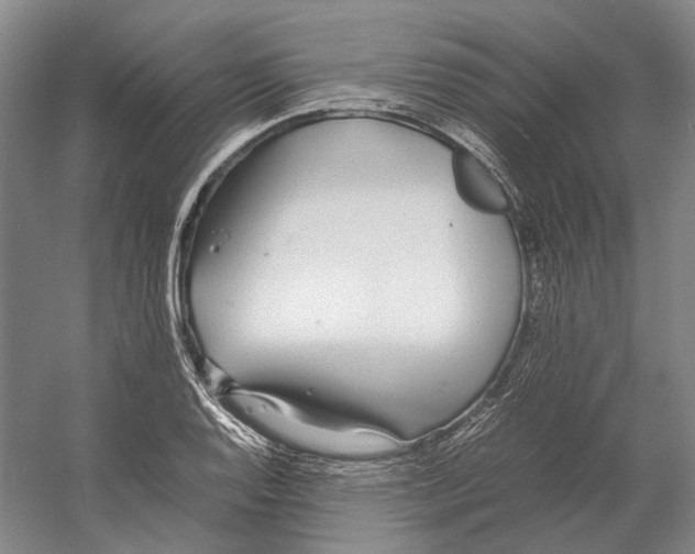 X0000060781128200512011631