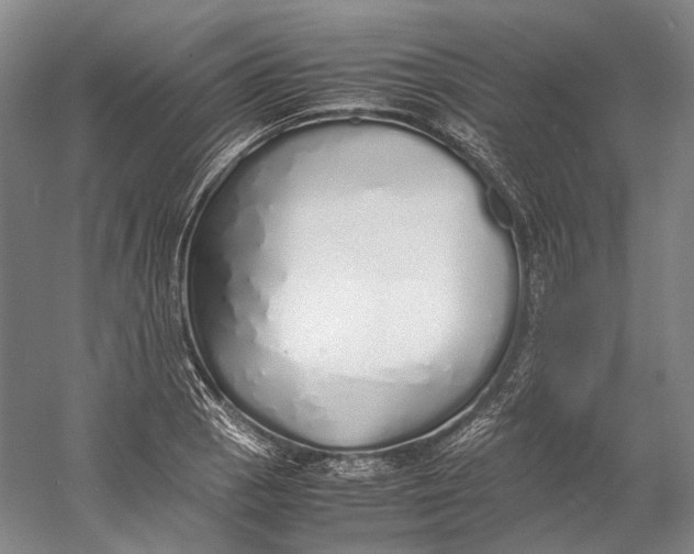 X0000060781129200512011631