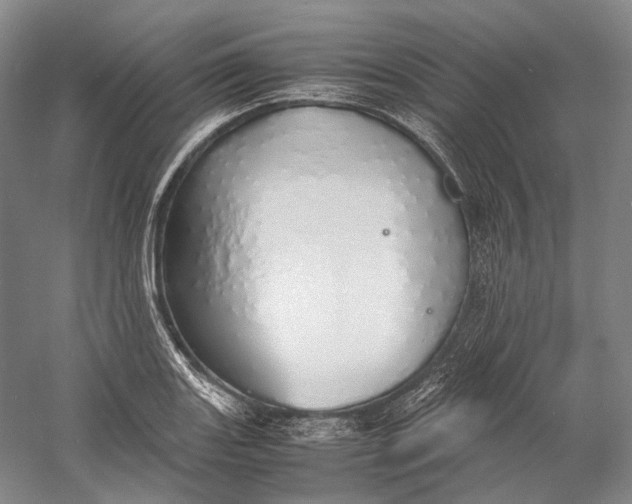 X0000060781131200512011631