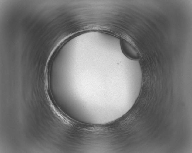 X0000060781132200512011631