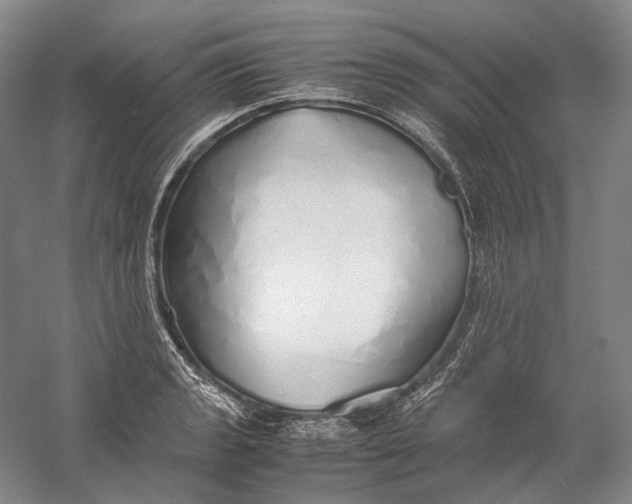 X0000060781133200512011631