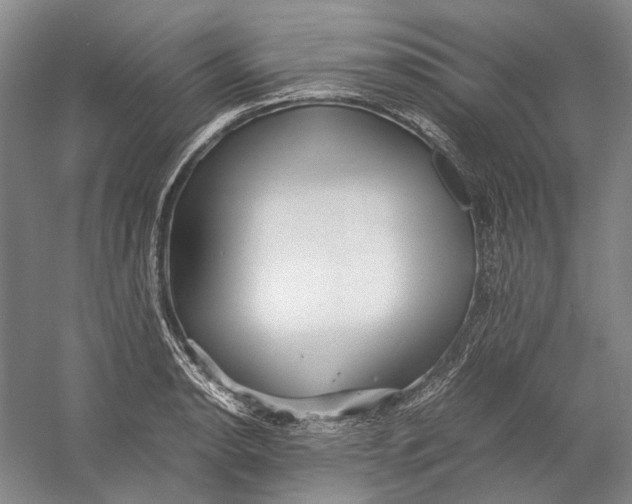 X0000060781134200512011631