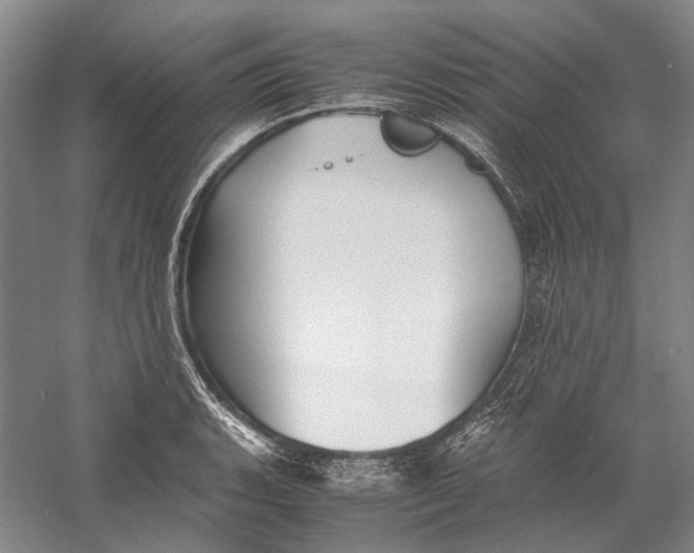 X0000060781135200512011631
